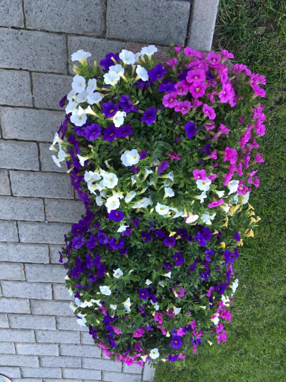 Residence Dilitz 雷西亚 外观 照片